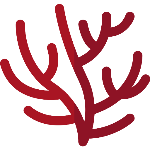 Coral Red HQ Image Free PNG Image