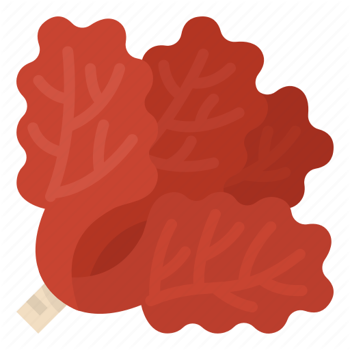 Precious Coral Red Free Clipart HD PNG Image