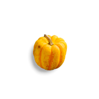 Squash Acorn Free HD Image