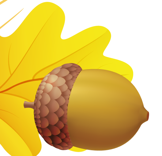 Vector Acorn Free PNG HQ PNG Image