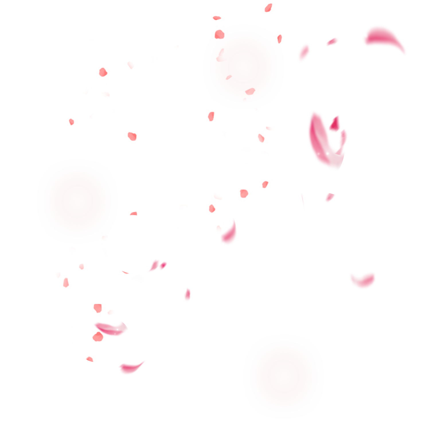 Transparent Cherry Blossom Petals Falling Png Flower - vrogue.co