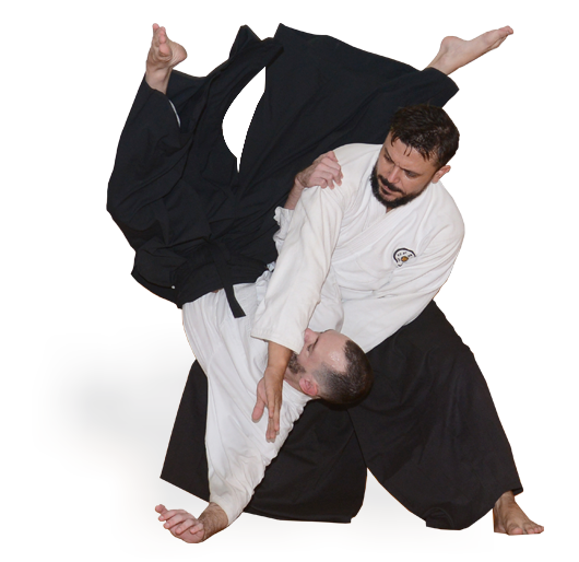 Aikido Transparent PNG Image