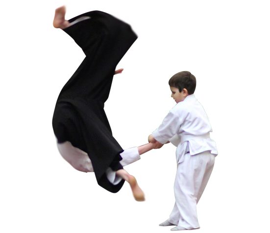 Aikido Transparent PNG Image