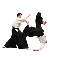 Aikido PNG