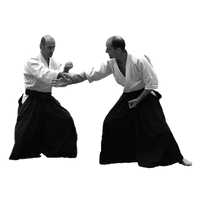 Aikido PNG