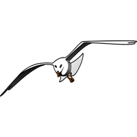 Albatross Transparent Image Transparent HQ PNG Download | FreePNGImg