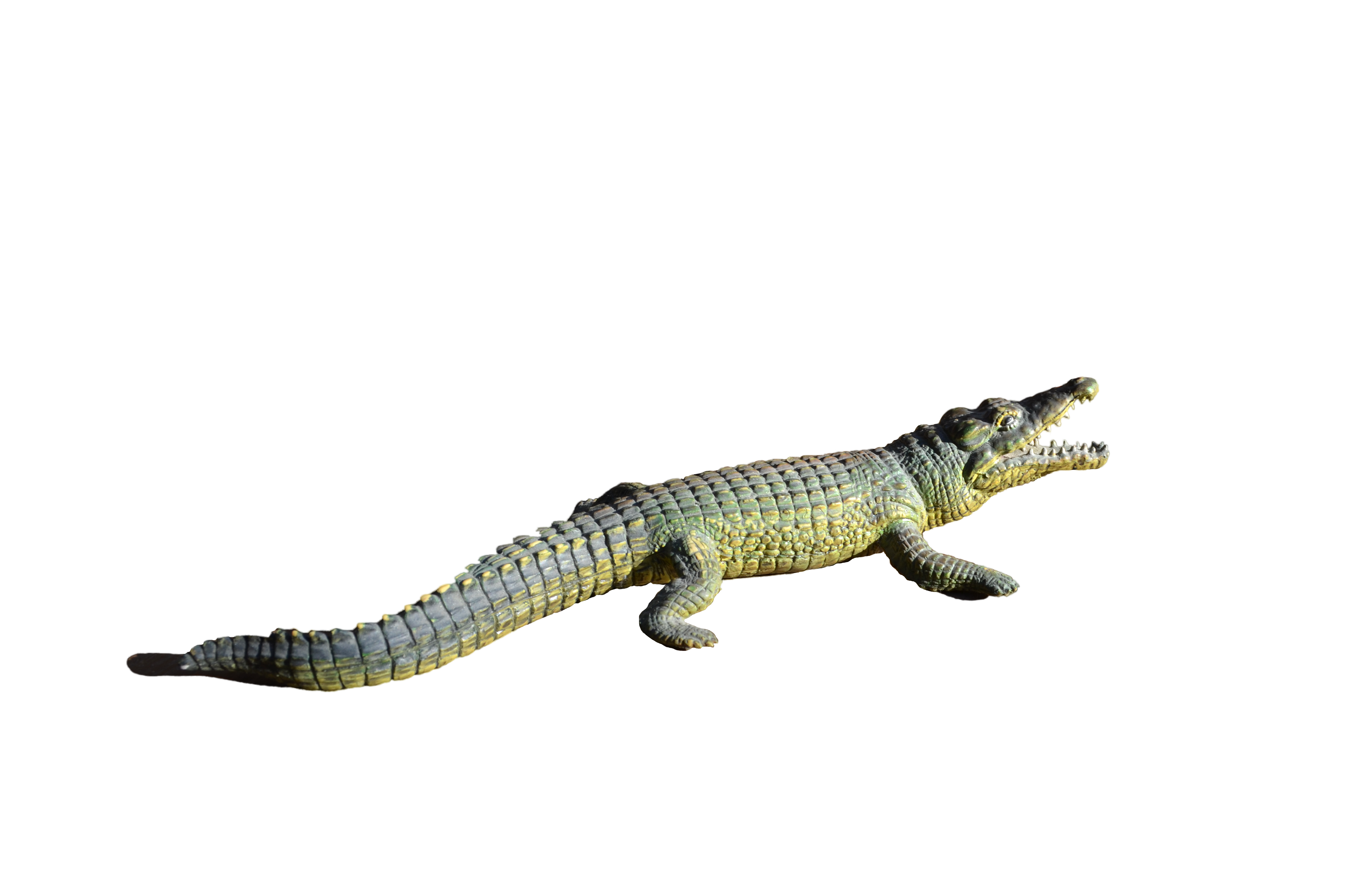Alligator Transparent PNG Image