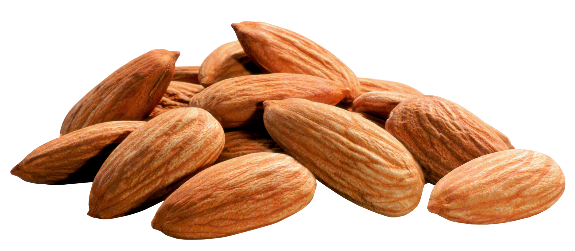 Nut Almond Pic Free Download Image PNG Image