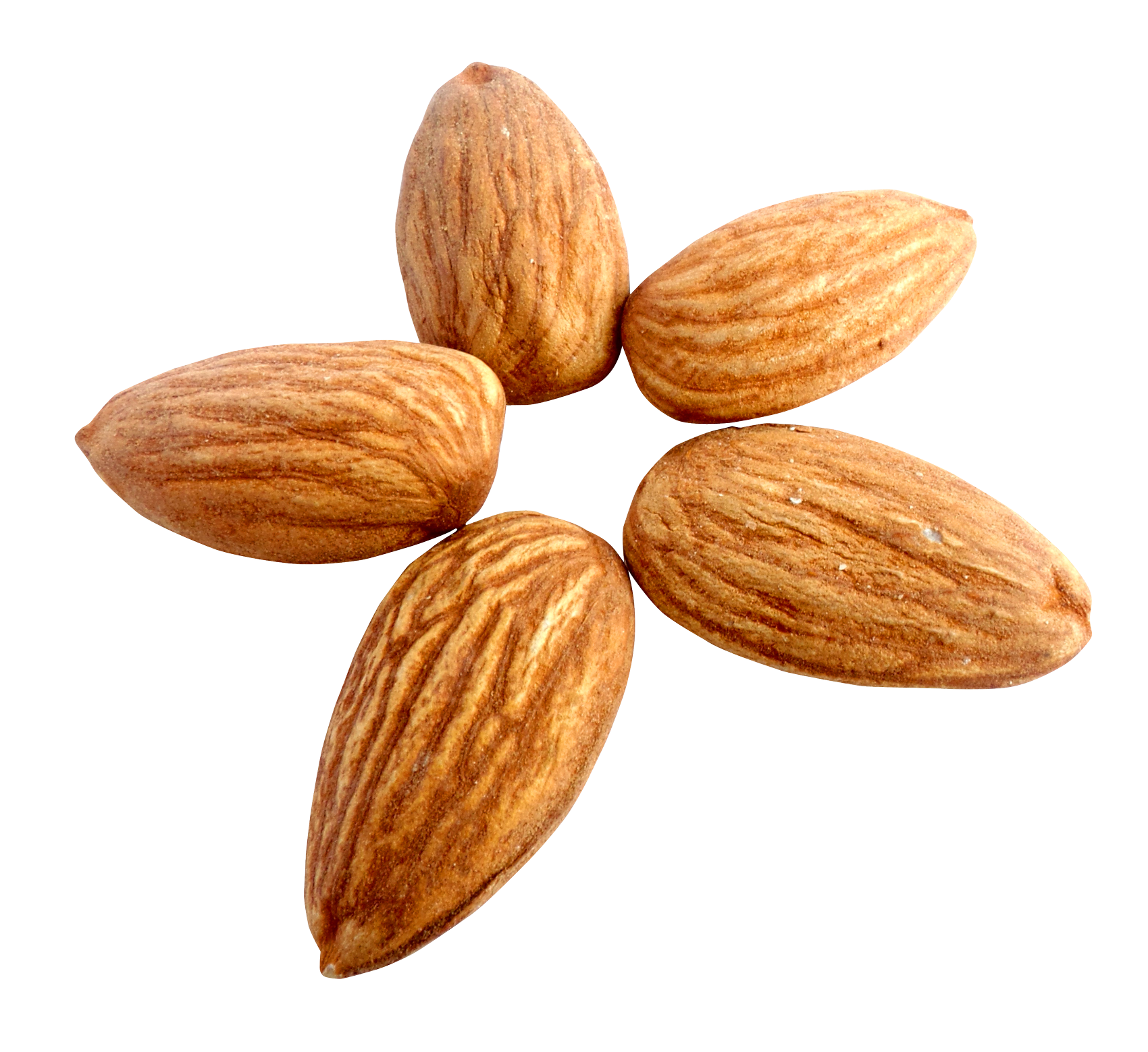 Images Nut Almond Free Photo PNG Image