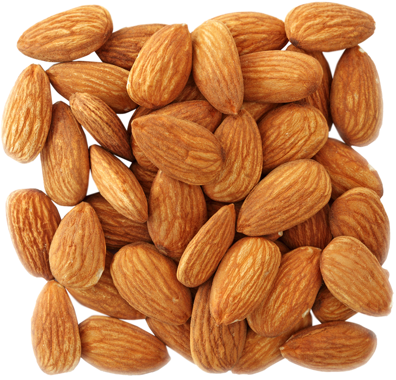 Nut Almond Free Download PNG HQ PNG Image