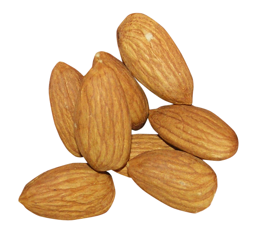 Nut Almond Free Download PNG HQ PNG Image