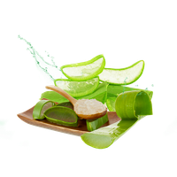 Aloe Photos PNG Image