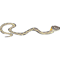 Reptile Snake Slitherio Viper Free Clipart HD PNG Image