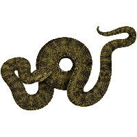 Download Anaconda Free Png Photo Images And Clipart Freepngimg