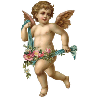 Download Fantasy Angel Image HQ PNG Image | FreePNGImg