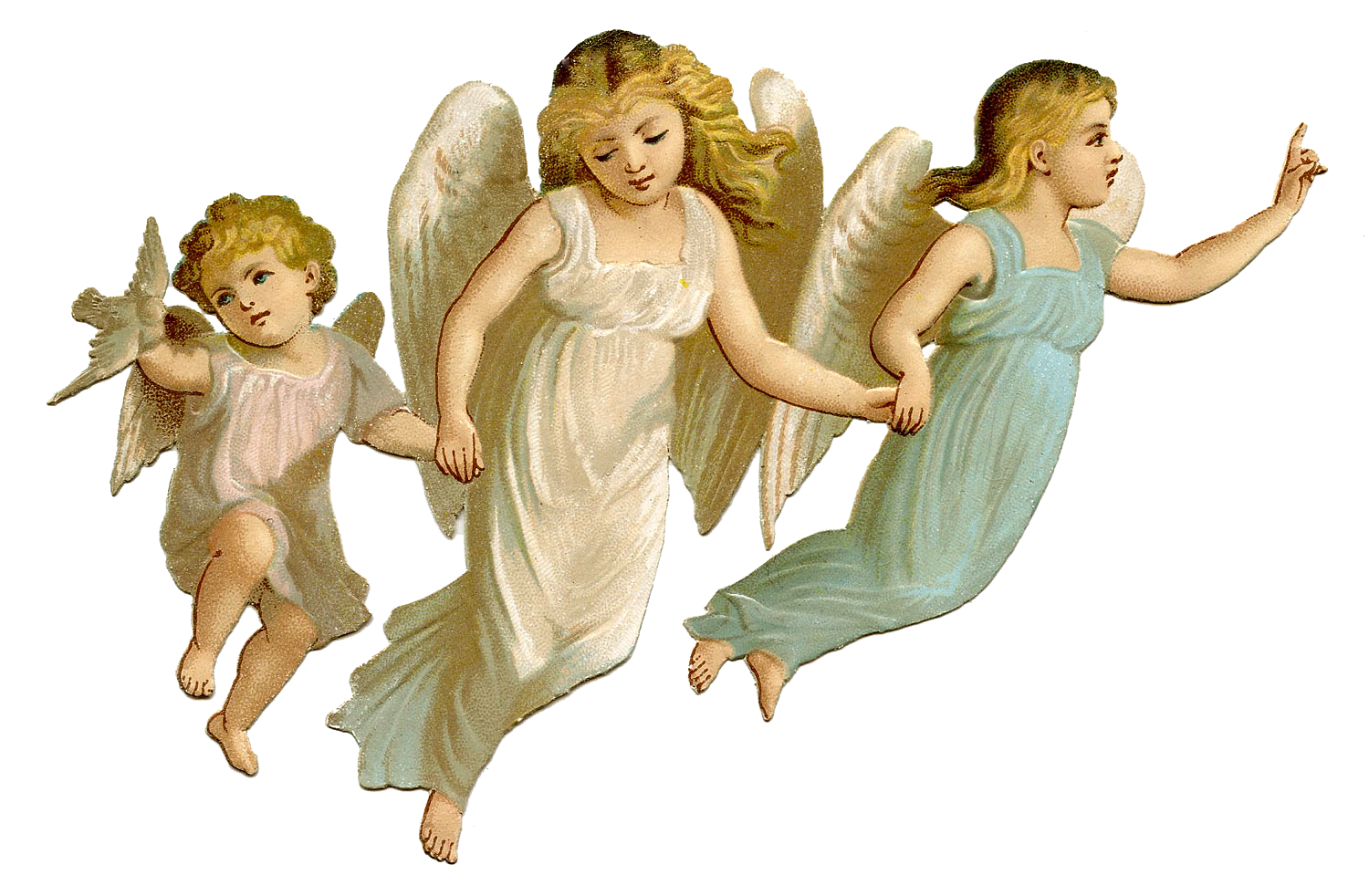 Angel Picture PNG Image