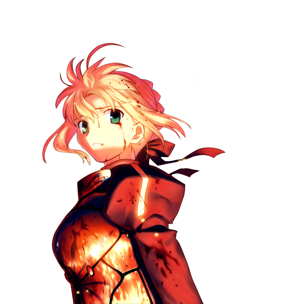 Fate Stay Free Download PNG Image