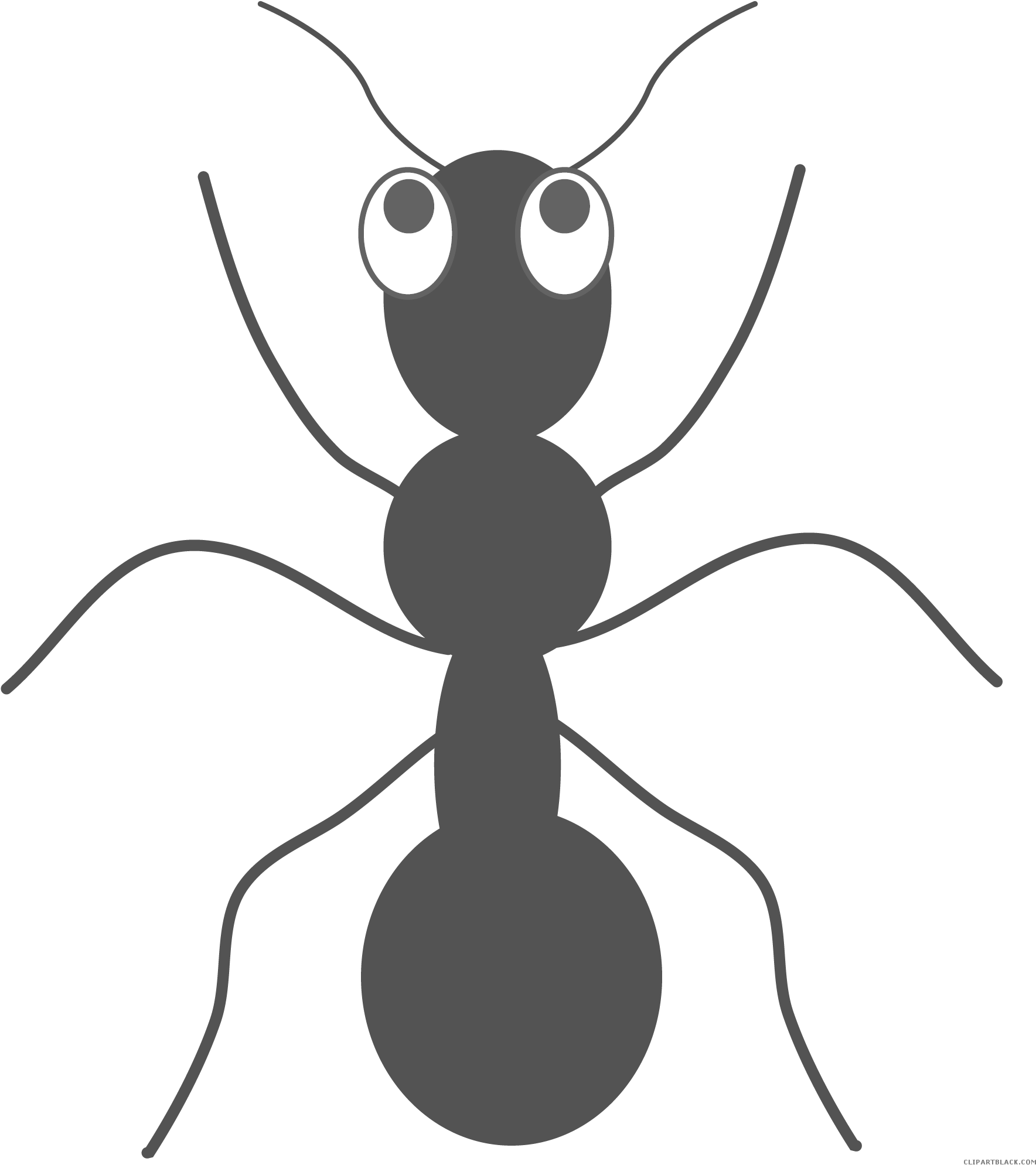 Ant Free Clipart HD PNG Image