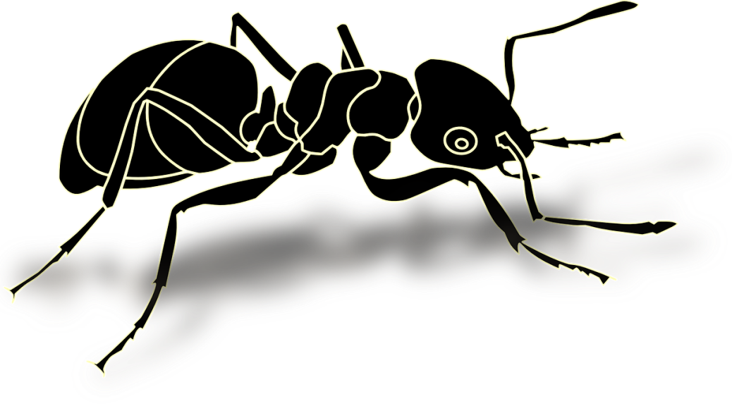 Ant Free Clipart HQ PNG Image