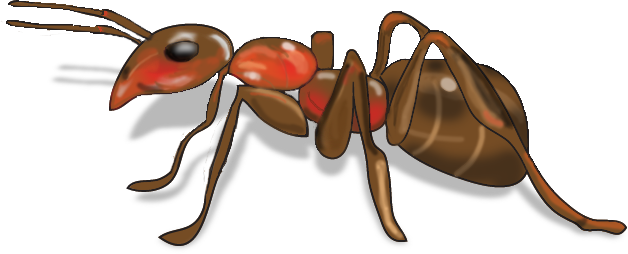 Ant Red HD Image Free Transparent PNG Image