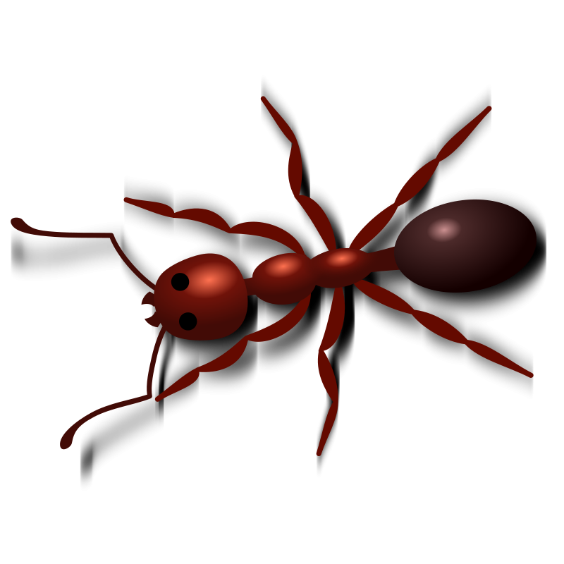 Ant Red PNG Free Photo Transparent PNG Image