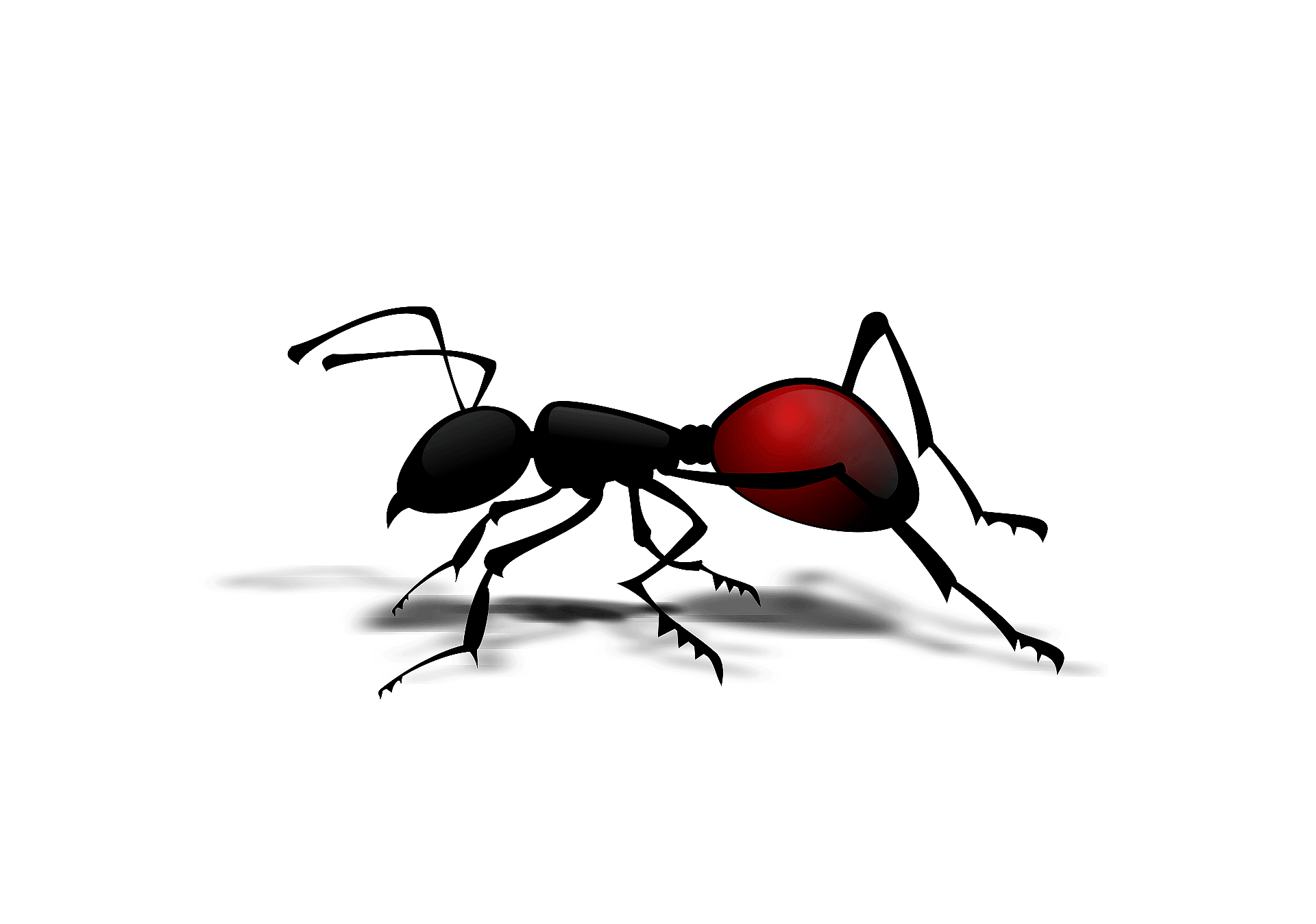 Ant Images Red Free Download PNG HQ PNG Image