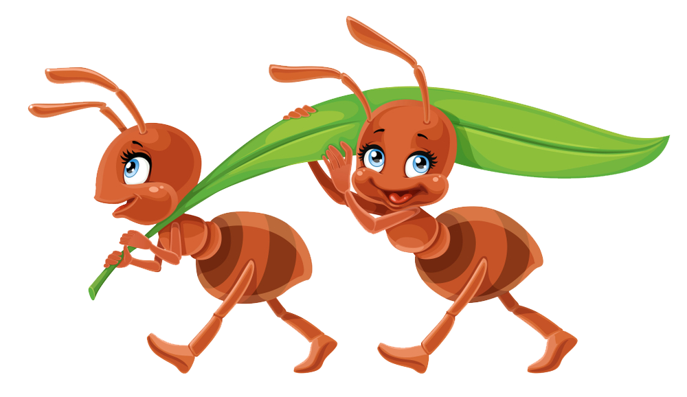 Ant Vector Download HQ PNG Image