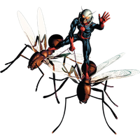 Ant-Man Picture PNG Image