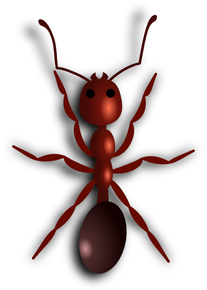 Ant Transparent PNG Image