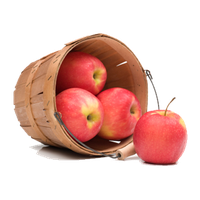 Apple Fruit Picture PNG Image