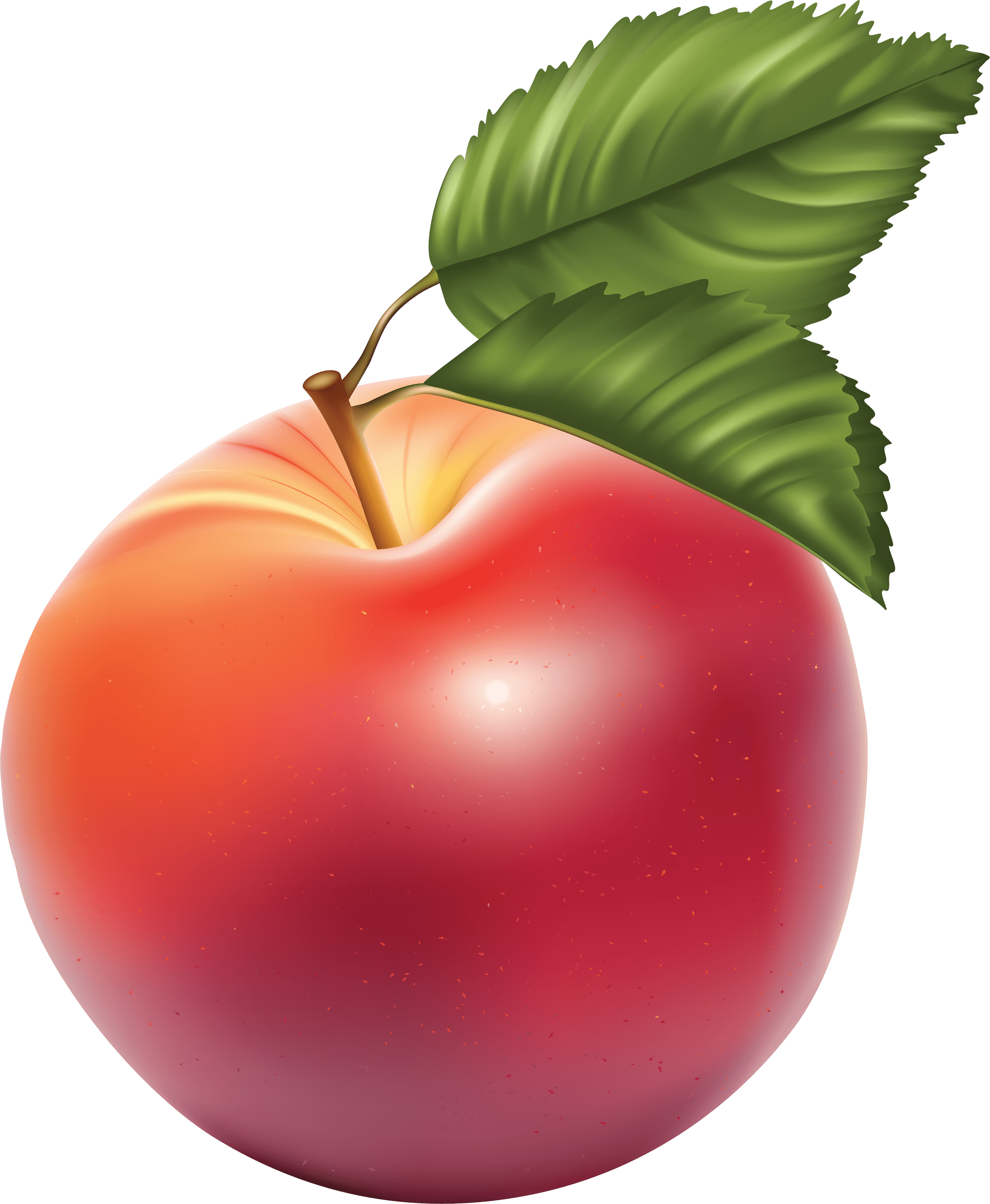 Apple Hd Transparent, Apple, Red Apple Clipart, Fruit, Green Apple PNG  Image For Free Download