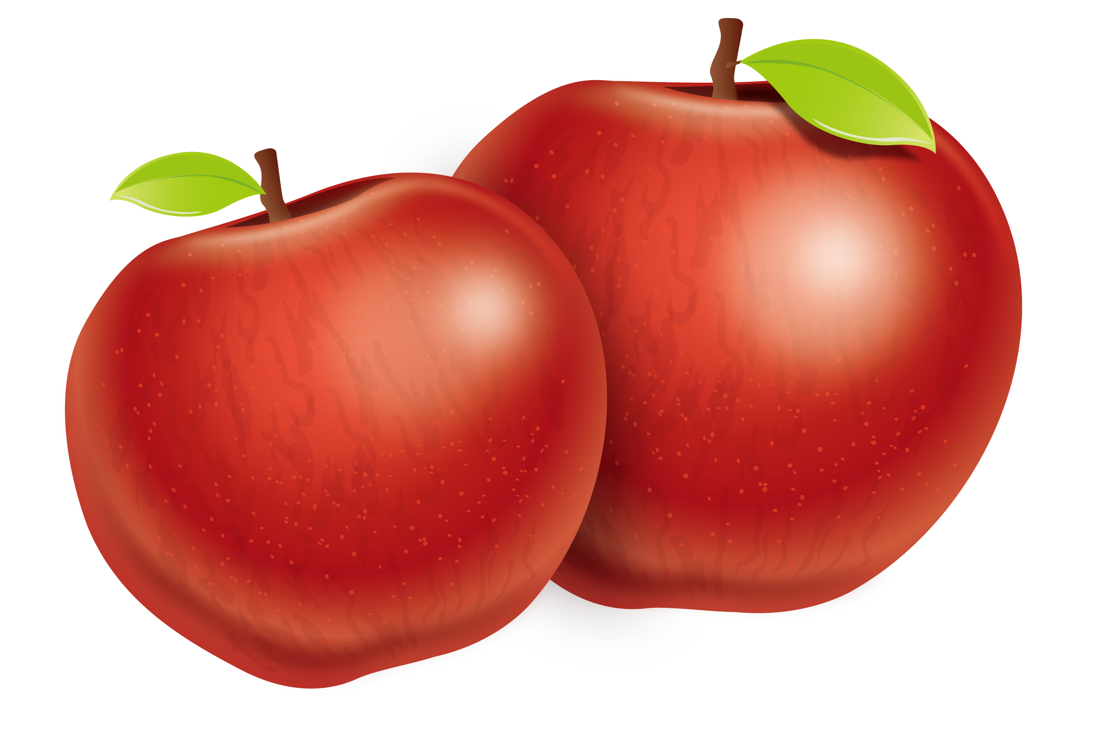 Tomato Apple Plum Two Fuji Vector Apples PNG Image