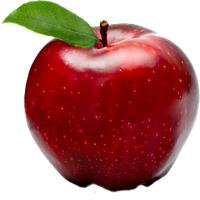 Apple Fruit File
