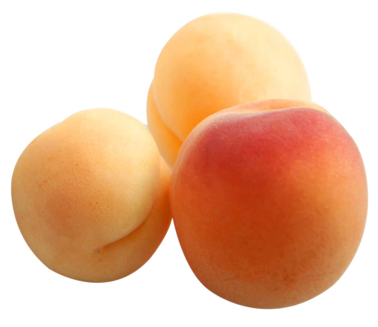 Apricot Up Close PNG Free Photo PNG Image