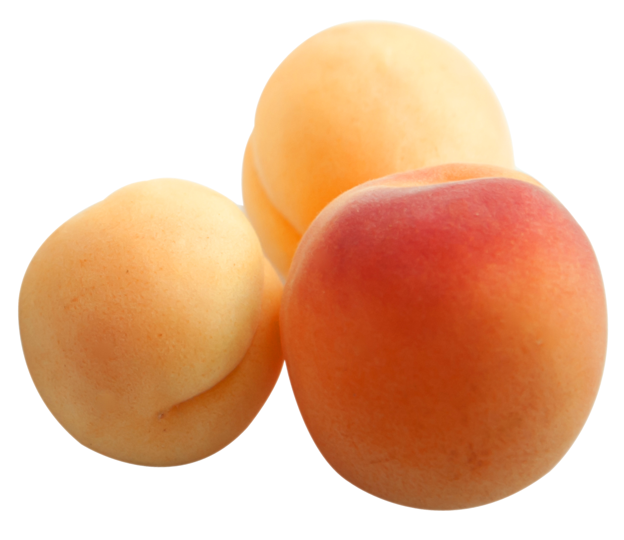 Apricot Up Close PNG Free Photo Transparent PNG Image