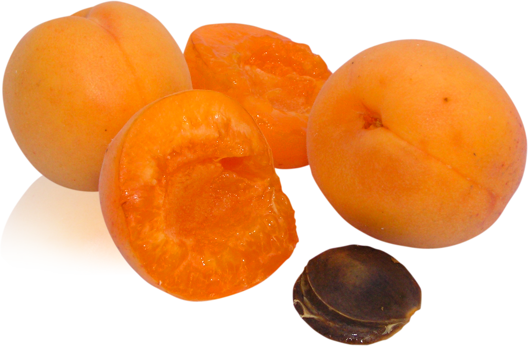 Apricot Up Close Free HQ Image Transparent PNG Image