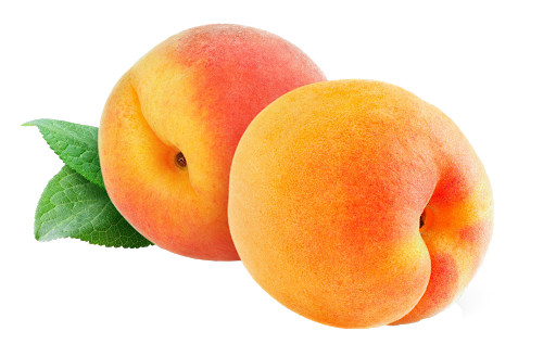 Apricot Fruit Download HQ PNG Image