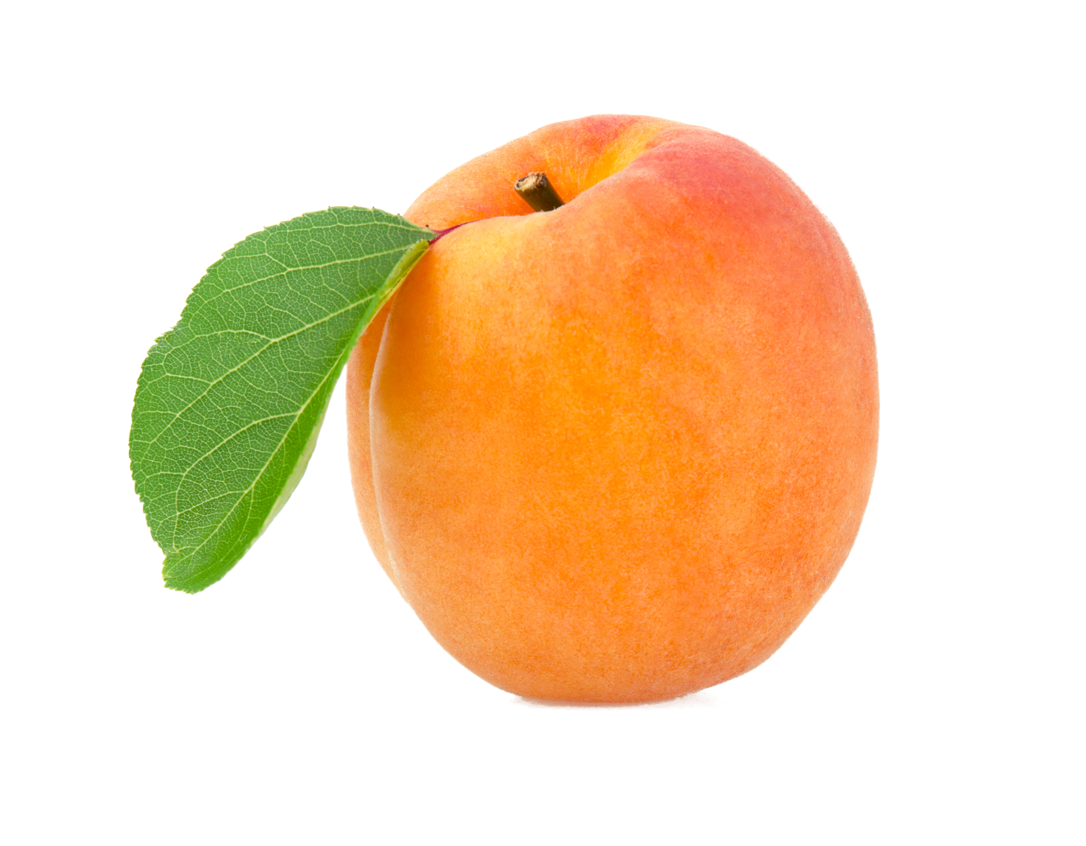 Apricot Fruit Download HD PNG Image