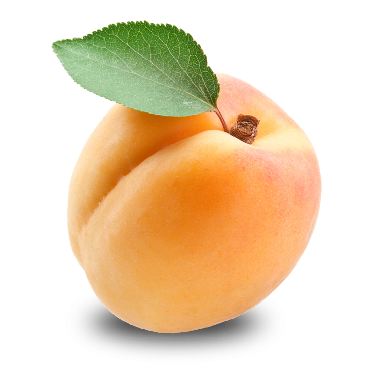 Apricot Fruit Free Download PNG HD PNG Image