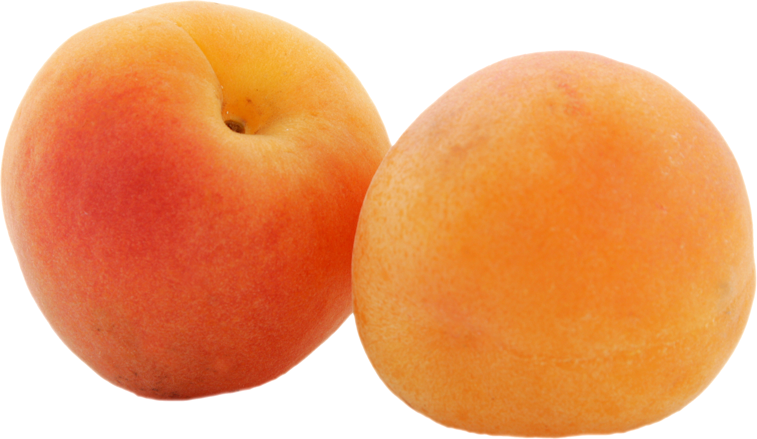 Apricot Fruit Picture PNG Image High Quality PNG Image