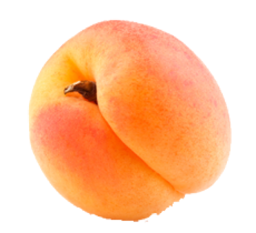 Apricot Fruit Download HQ PNG Image