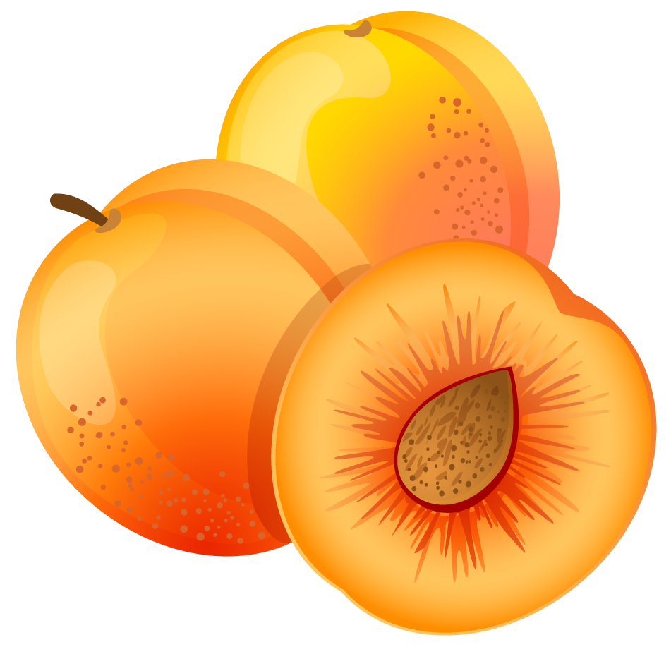 Apricot Fruit Free Download Image PNG Image