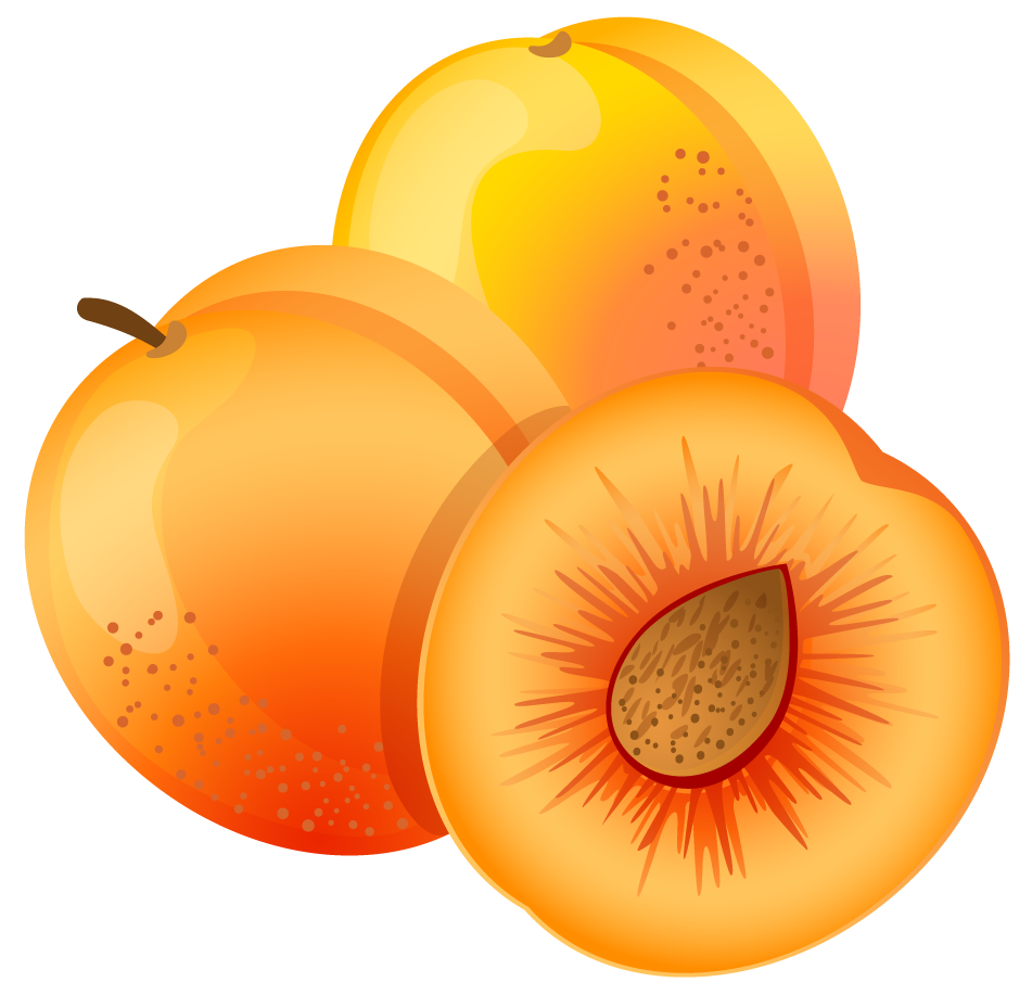 Apricot Fruit Free Download Image Transparent PNG Image