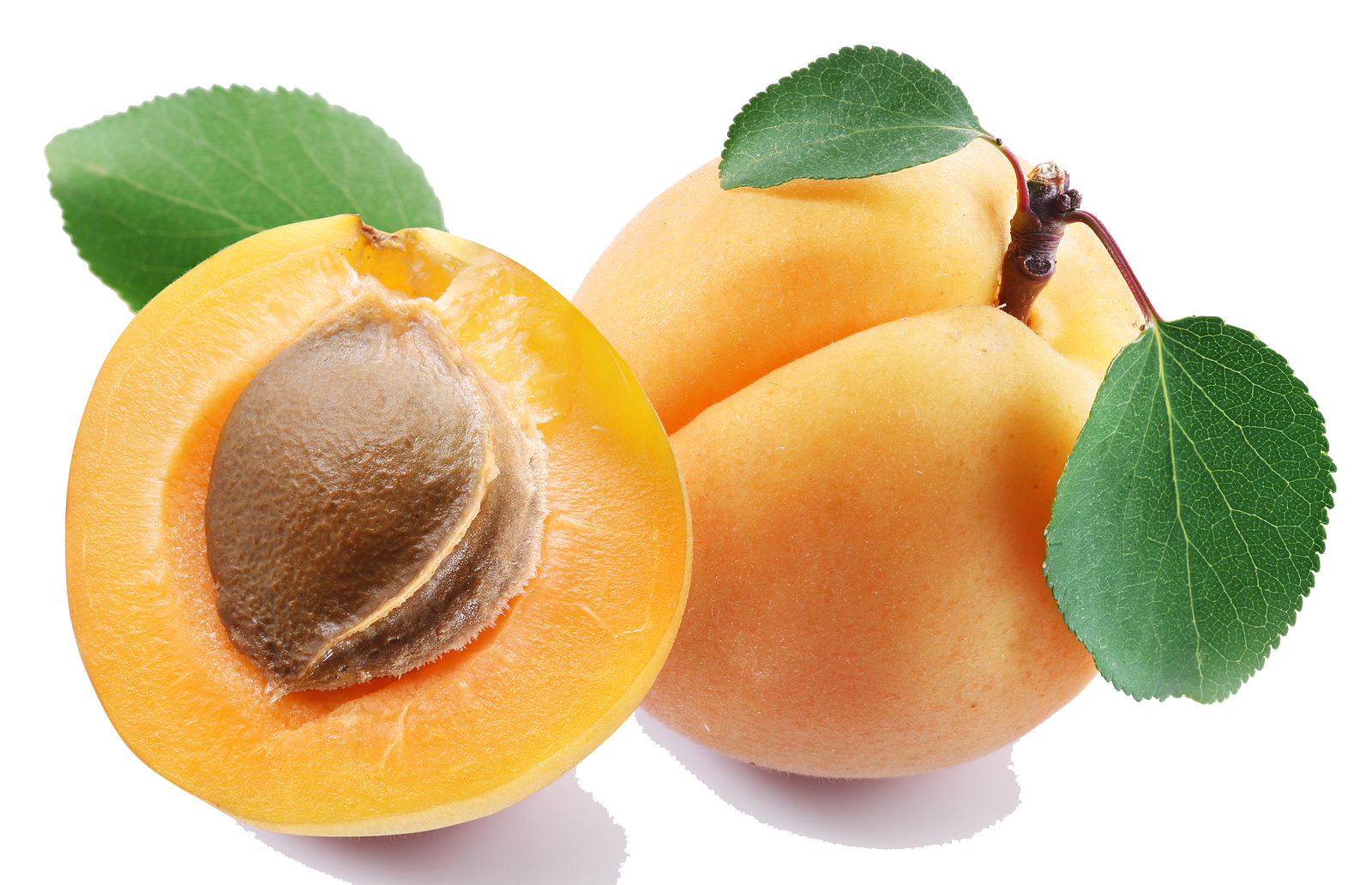 Apricot Fruit Slice Free Download PNG HQ PNG Image