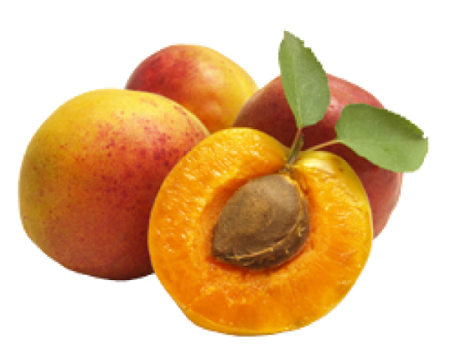 Apricot Fruit Slice Free Clipart HQ PNG Image