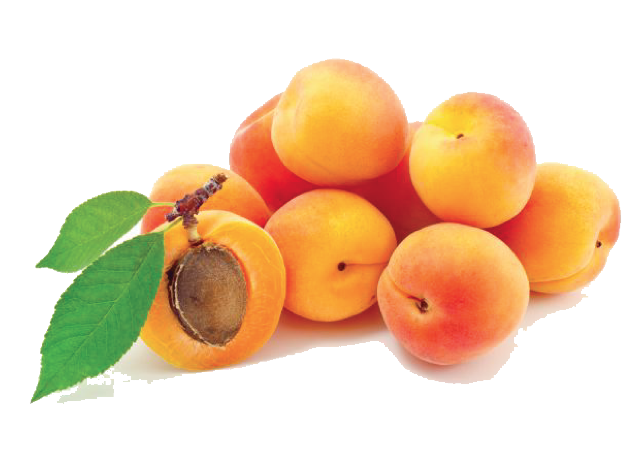 Apricot Photos PNG Image