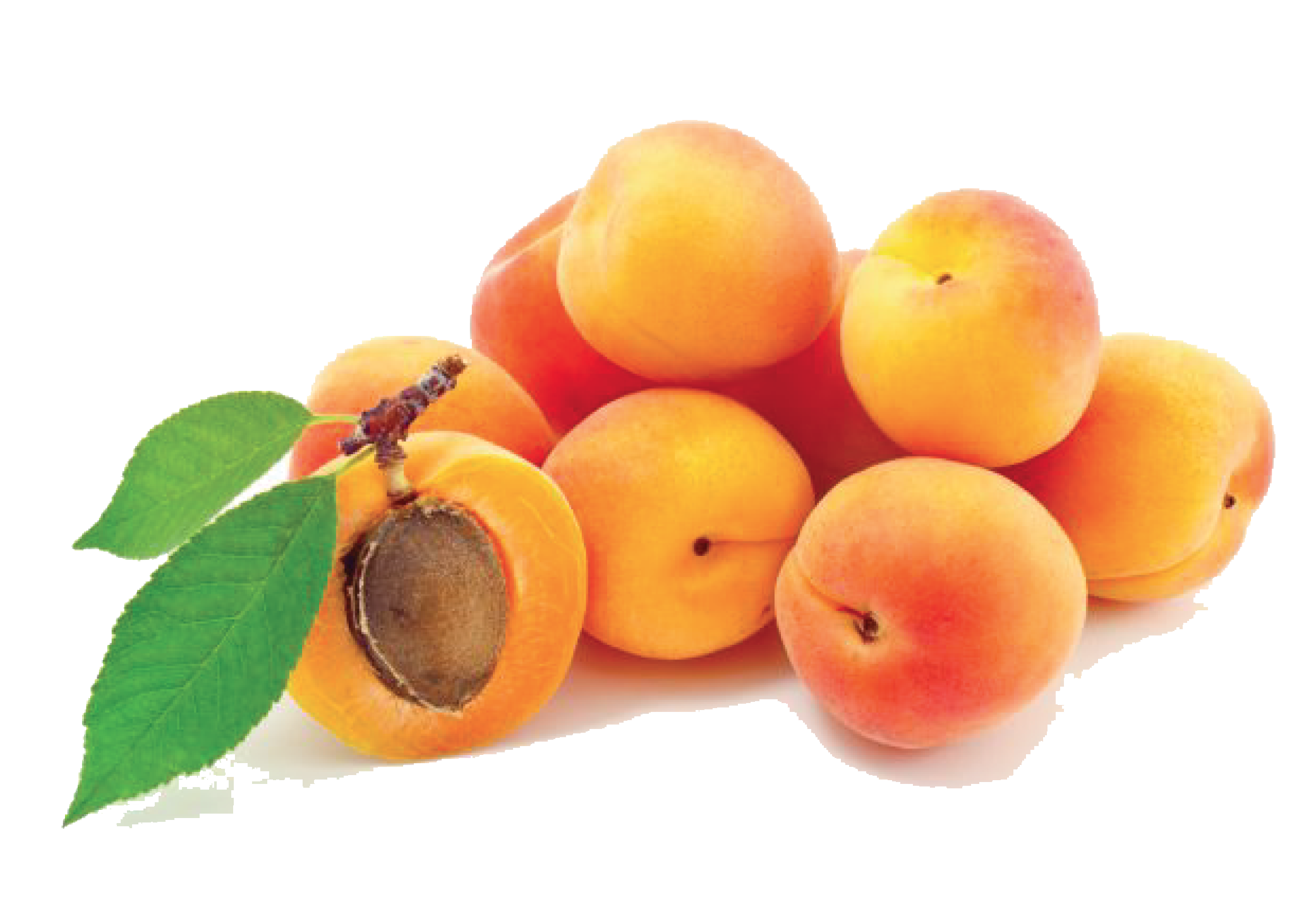 download-apricot-photos-hq-png-image-freepngimg