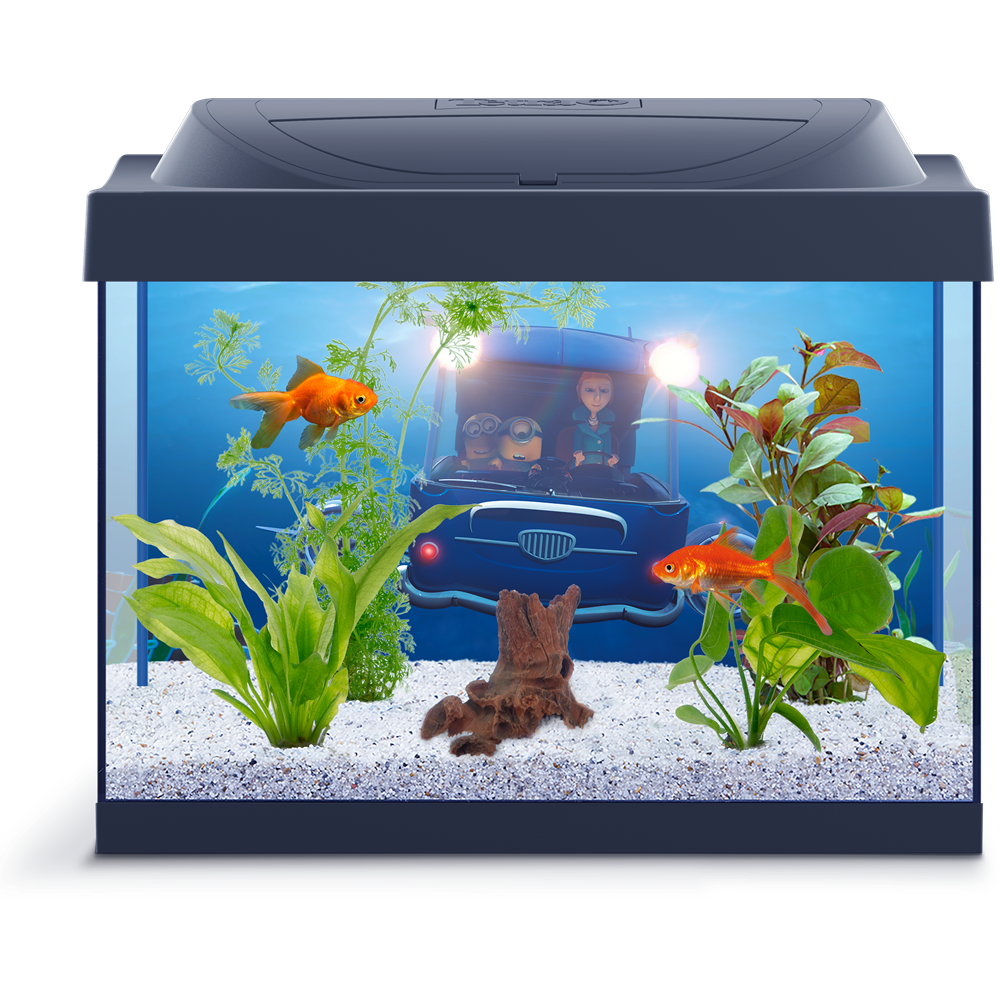Picture Fish Tank Aquarium Download Free Image PNG Image