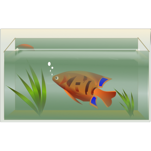 Fish Tank Aquarium Free Download PNG HQ PNG Image