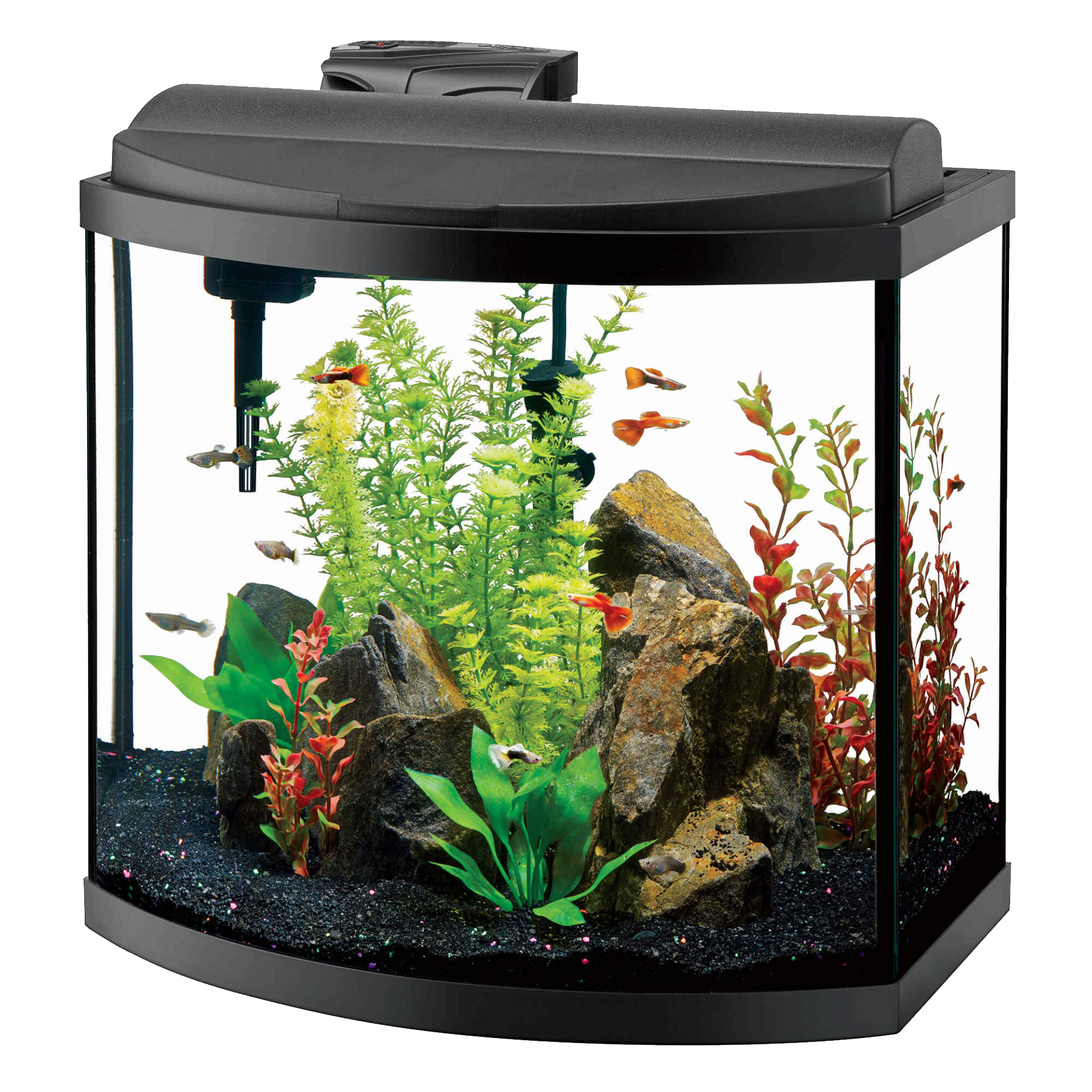 Glass Fish Tank Aquarium Download HQ PNG Image